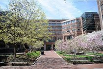 A pathway leading through a landscaped courtyard with blooming trees on either side, towards a modern building facade.