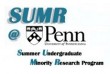 Summer Undergraduate Minority Research Program
