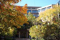 A building surrounded by trees with autumn foliage, featuring a mix of green, yellow, and orange leaves, under a clear blue sky.